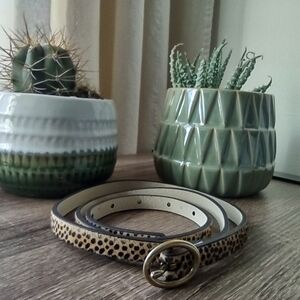 American Eagle Outfitters Leopard Print Tan Belt Size XS/S